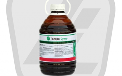 галера супер