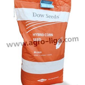 Гибрид кукурузы dow seeds