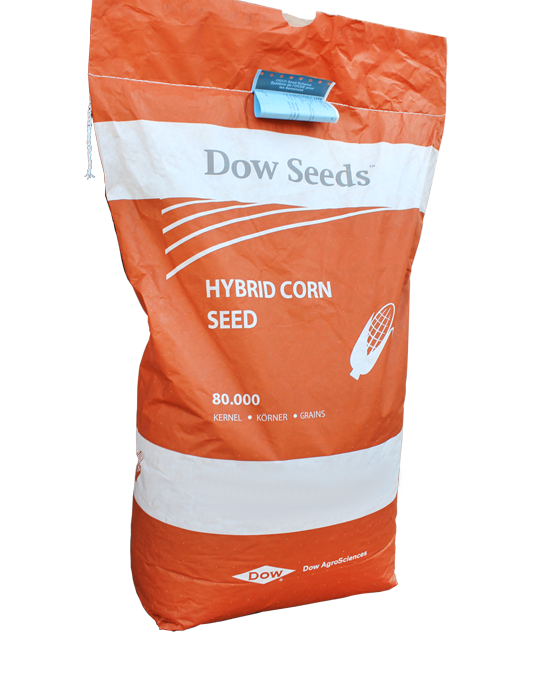Гибрид кукурузы ДС1202Б от dow seeds