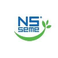 Семена подсолнечника NS SEME (НС)