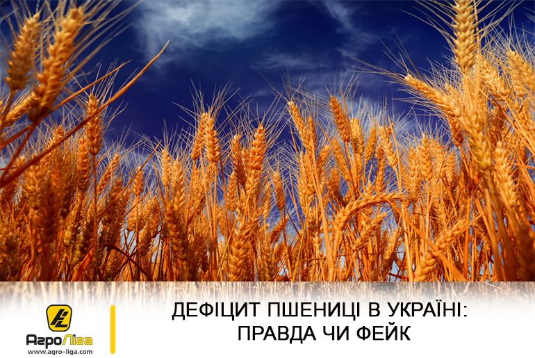 Дефіцит пшениці в Україні: правда чи фейк