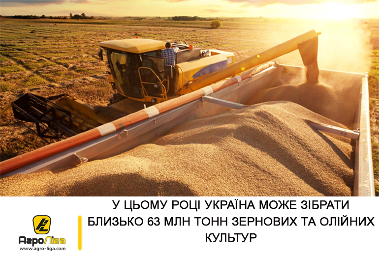 У цьому році Україна може зібрати близько 63 млн тонн зернових та олійних культур