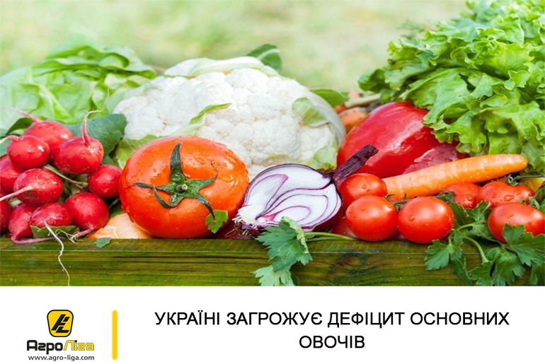 Україні загрожує дефіцит основних овочів