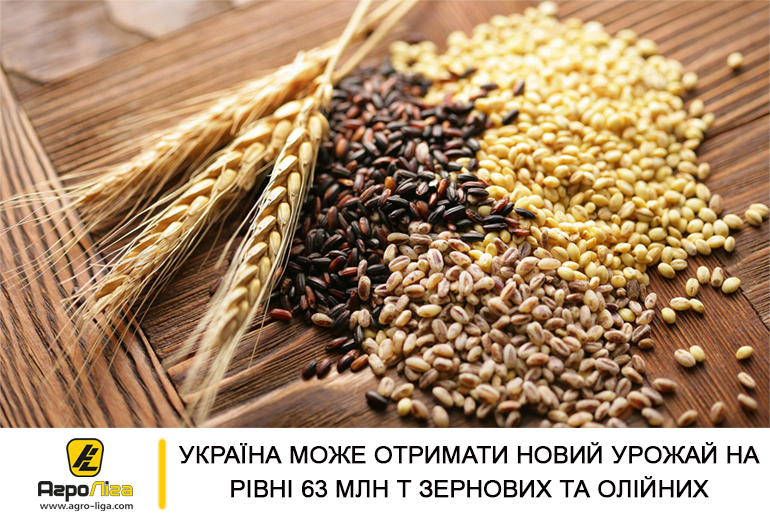 Україна може отримати новий урожай на рівні 63 млн т зернових та олійних