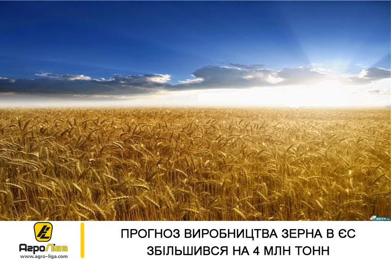 Прогноз виробництва зерна в ЄС збільшився на 4 млн тонн