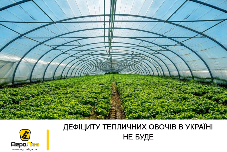 Дефіциту тепличних овочів в Україні не буде