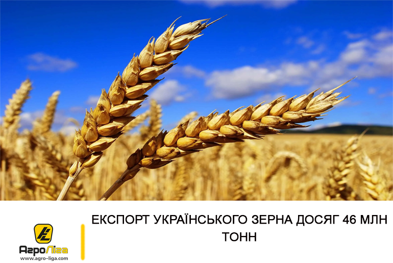 Експорт українського зерна досяг 46 млн тонн