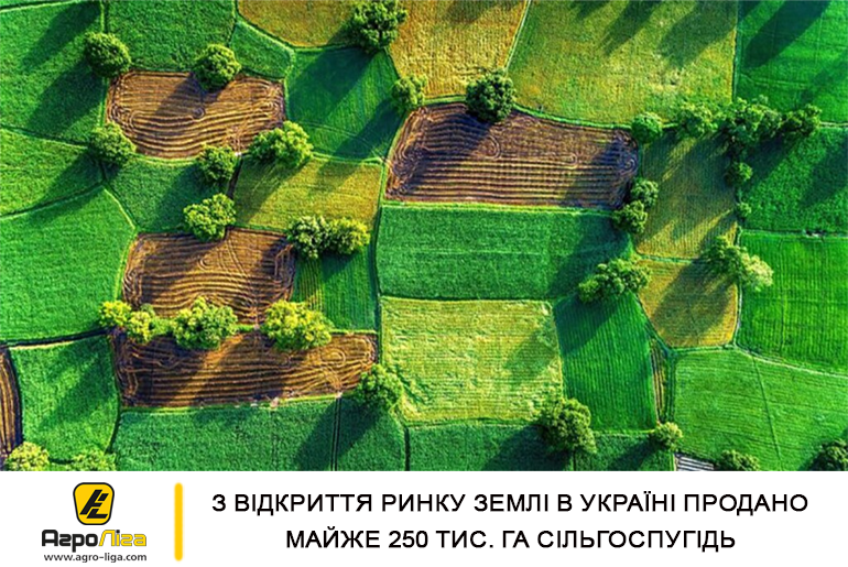 З відкриття ринку землі в Україні продано майже 250 тис. га сільгоспугідь