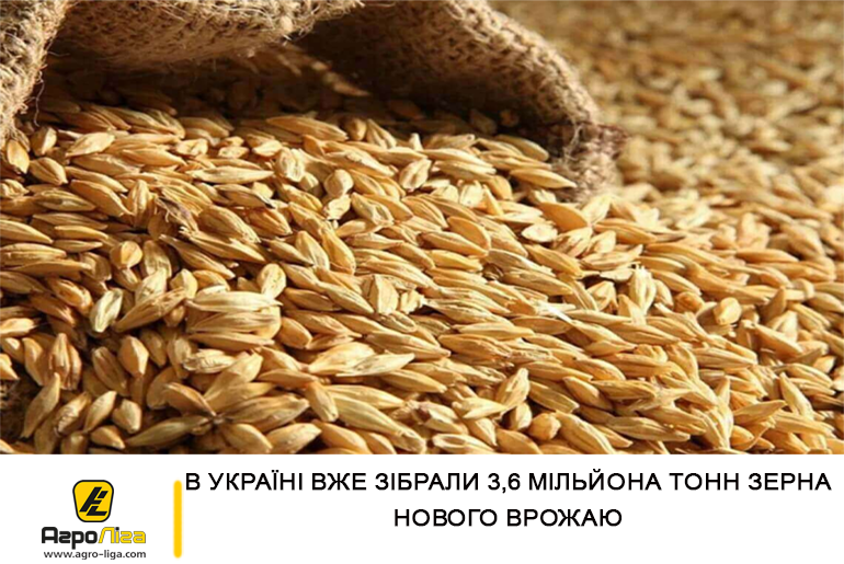 В Україні вже зібрали 3,6 мільйона тонн зерна нового врожаю