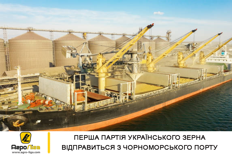 Перша партія українського зерна відправиться з Чорноморського порту