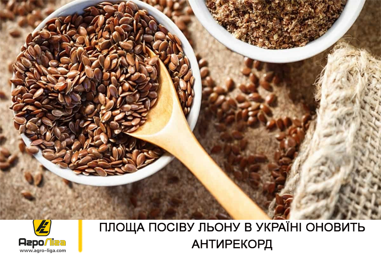 Площа посіву льону в Україні оновить антирекорд