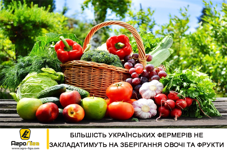 Більшість українських фермерів не закладатимуть на зберігання овочі та фрукти