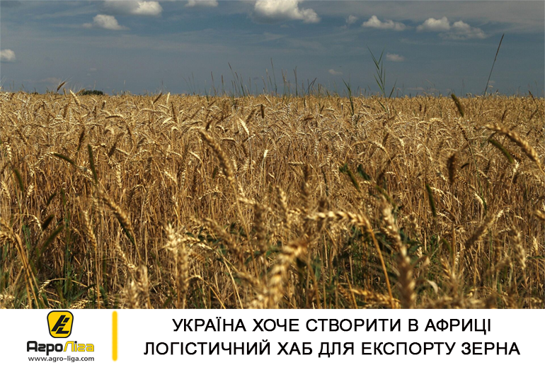 Україна хоче створити в Африці логістичний хаб для експорту зерна