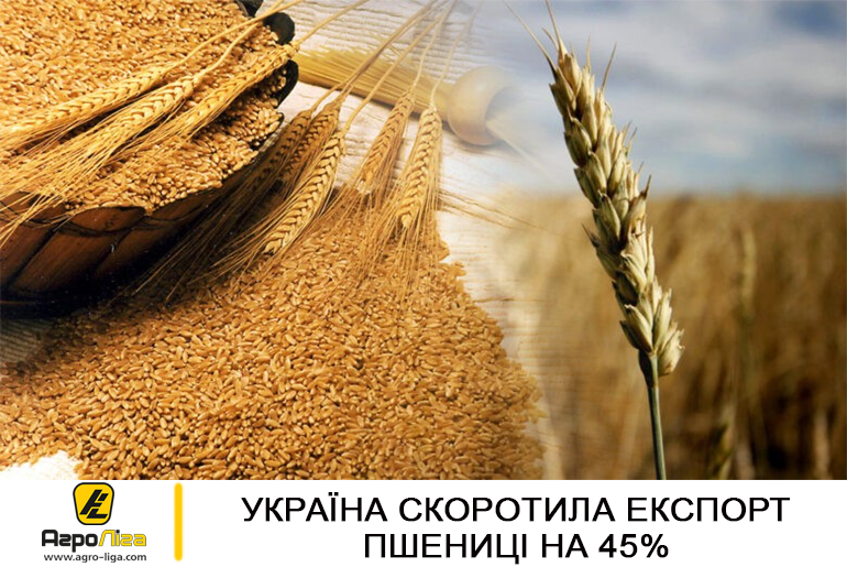 Україна скоротила експорт пшениці на 45%