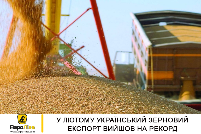 У лютому український зерновий експорт вийшов на рекорд