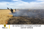 Як через війну страждає аграрний сектор України
