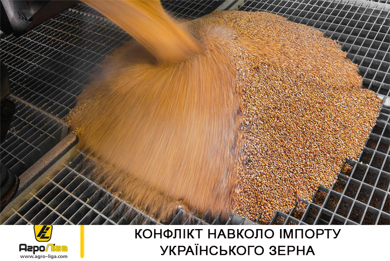 Конфлікт навколо імпорту українського зерна
