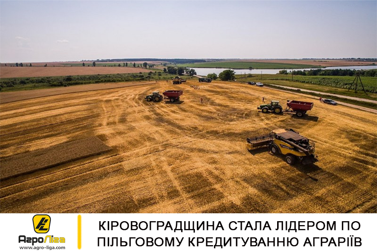 Кіровоградщина стала лідером по пільговому кредитуванню аграріїв