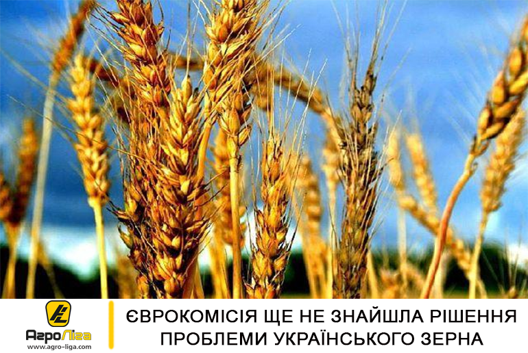 Єврокомісія ще не знайшла рішення проблеми українського зерна