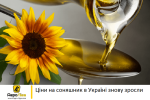 Ціни на соняшник в Україні знову зросли